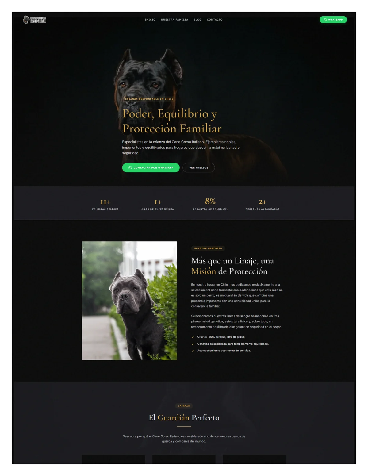Cachorros Cane Corso Chile