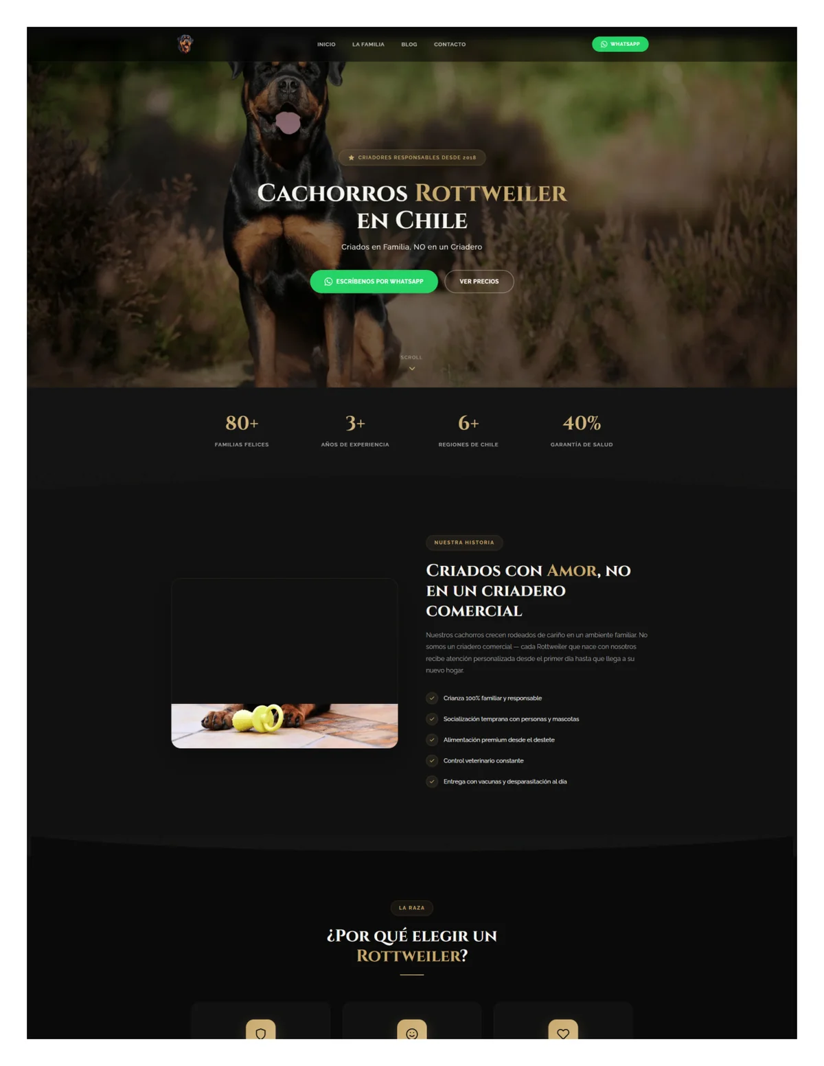 Cachorros Rottweiler Chile